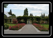 bodensee164 * Mainau * 2896 x 1944 * (1.4MB)