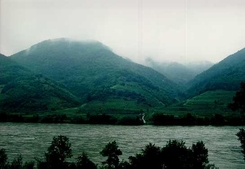 Wachau