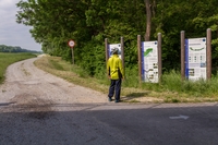 A  Donau-Auen Nemzeti Park szln nhny informcis tbla ad tjkoztatst