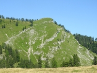 Postalm - Weislerhorn