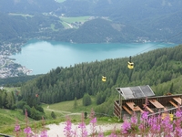 Zwlferhorn - Wolfgangsee a kabinbl