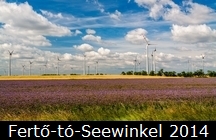 Fert-t - Seewinkel 2014