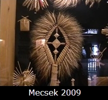 Mecsek 2009