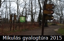 Mikulás gyalogtúra 2015